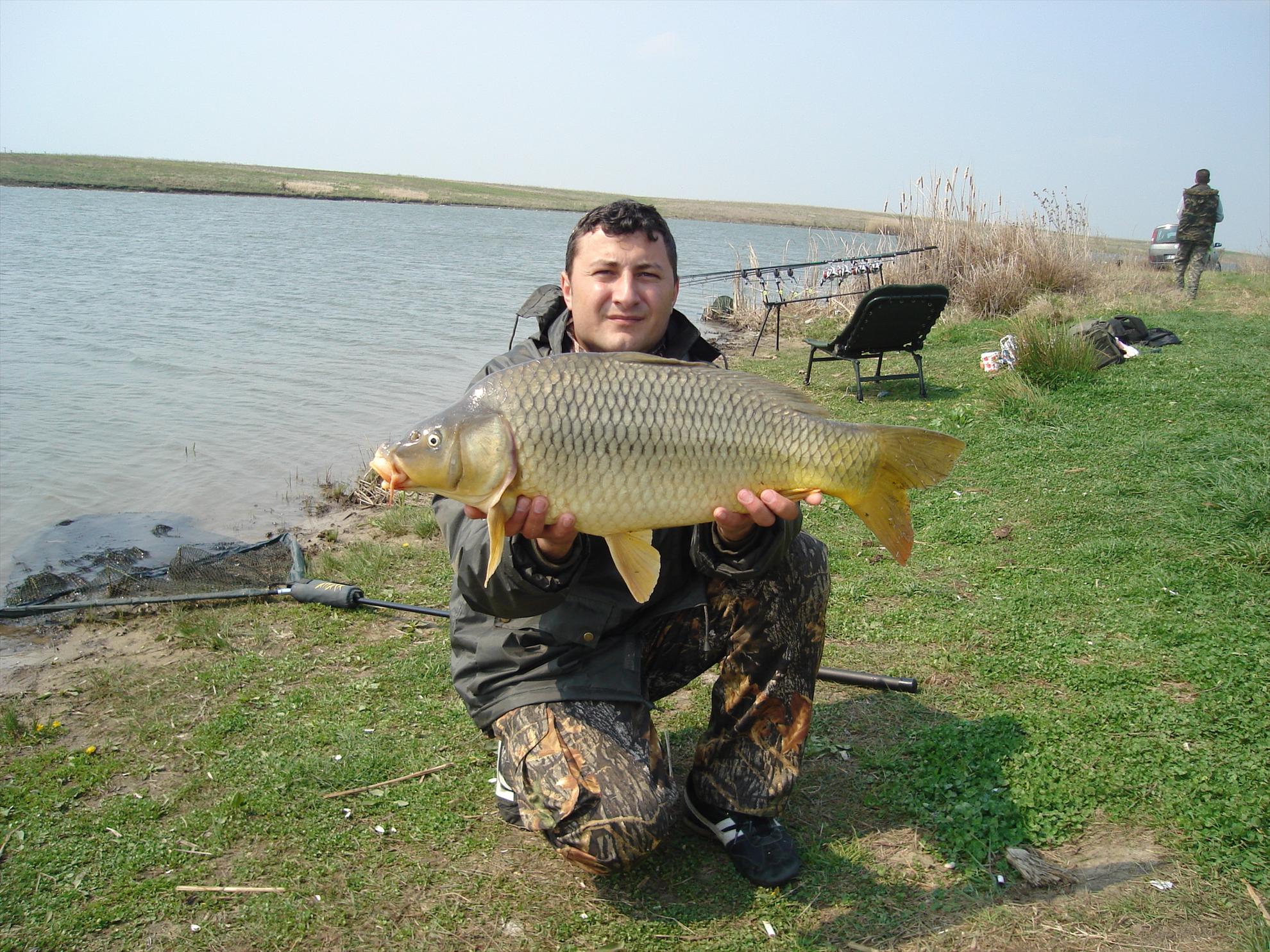 Hobaia - dsc01668.JPG